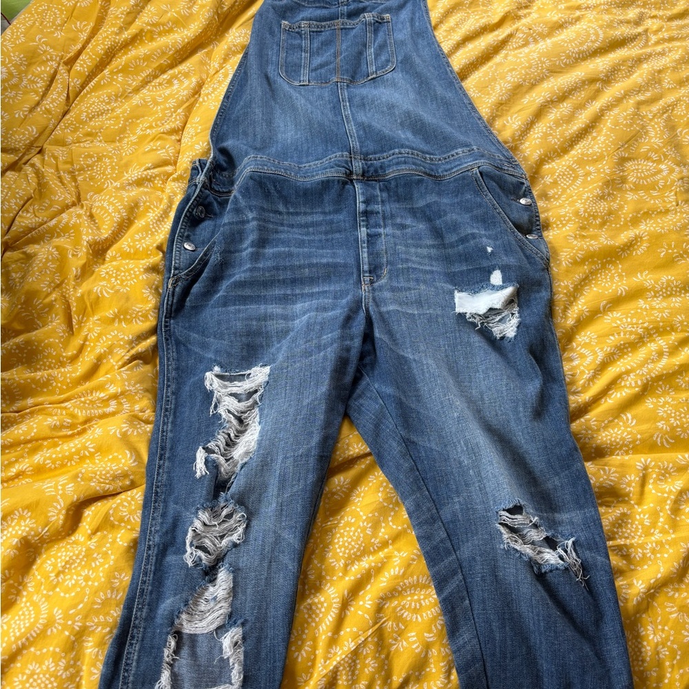 AE Distressed Denim Overalls